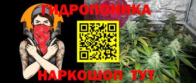 крисы Малоярославец