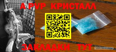 крисы Малоярославец