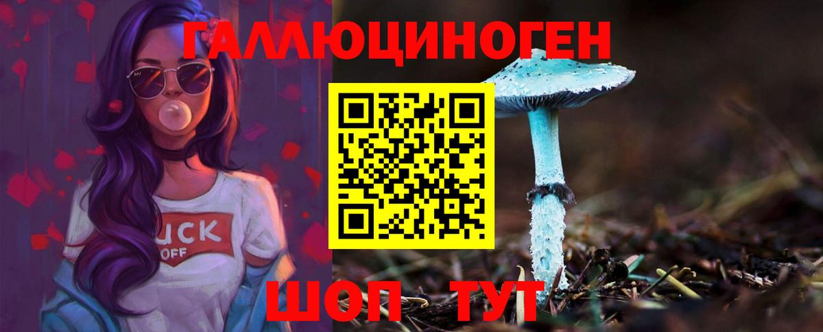 Псилоцибиновые грибы Magic Shrooms Сокол