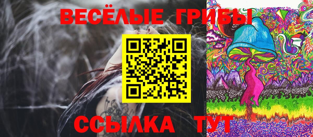 Сокол  Псилоцибиновые грибы Magic Shrooms  Галлюциногенные грибы прущие грибы  Вход с VPN 
