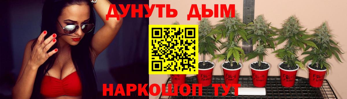 Каннабис семена  Бошки марихуана VHQ  Шишки марихуана марихуана  Вход с VPN  Бошки Шишки THC 21%  Сокол 