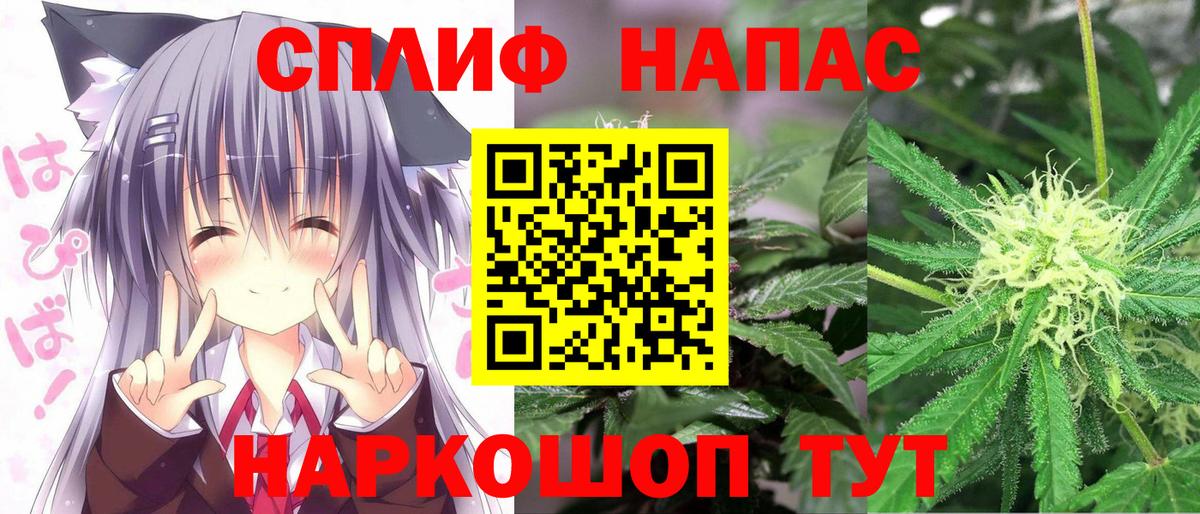 Марихуана семена Сокол
